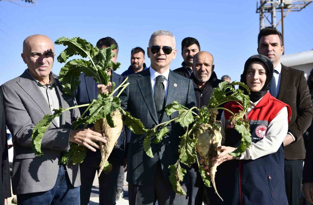 Kantarlar pancar alımına başladı