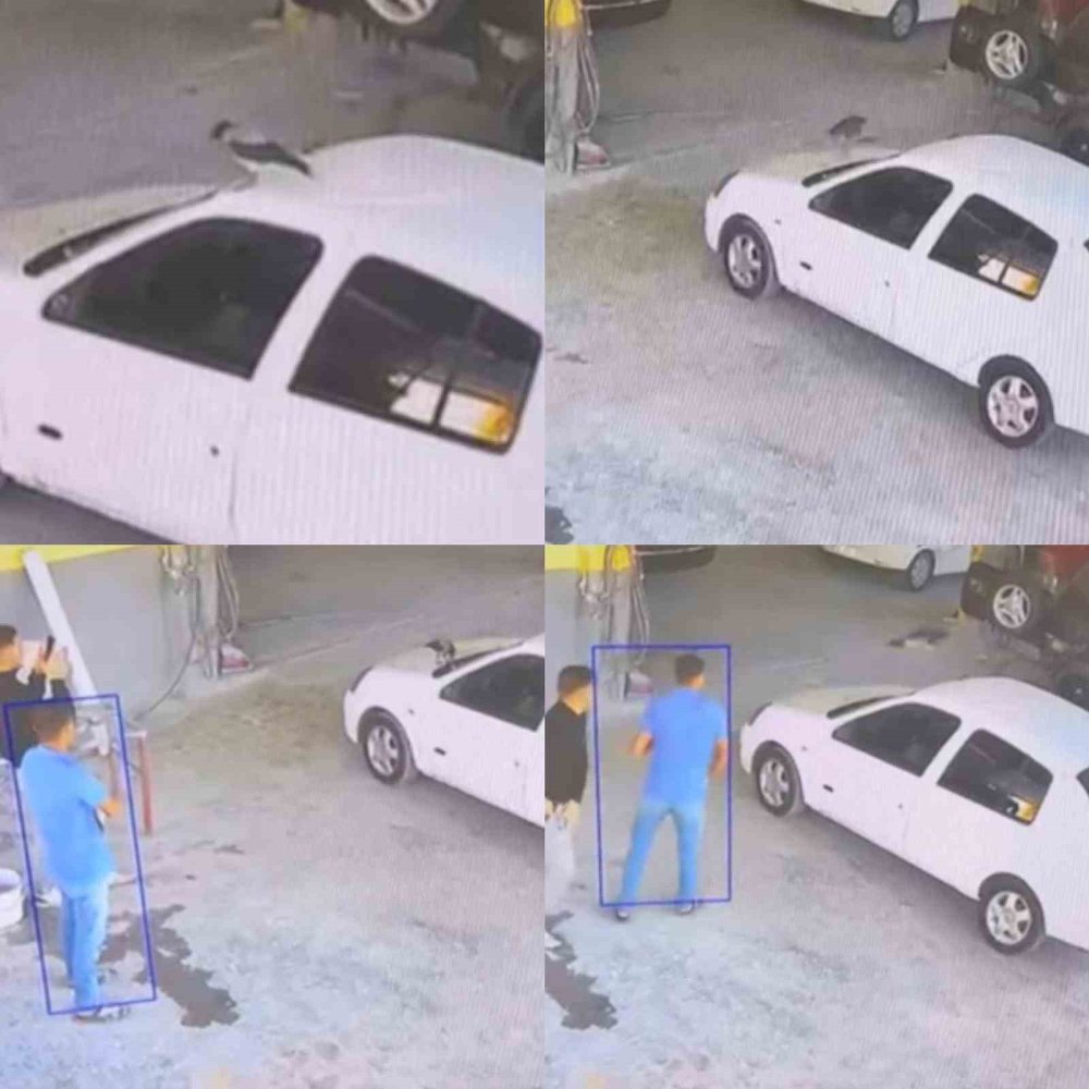 Karga, otomobilin anahtarını çalıp okulun damına bıraktı