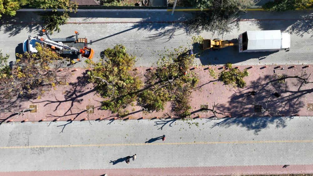 Ağaç atıkları gübreye dönüşüyor