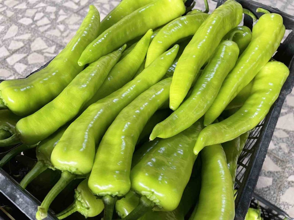 Soğuyan hava sebze fiyatlarını da üşüttü