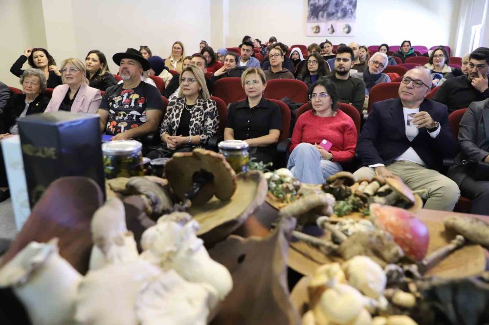 Mantarların Sağlık Üzerindeki Mucizevi Etkileri