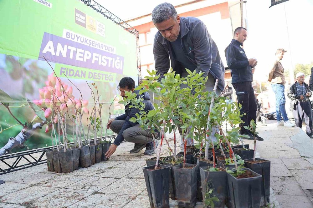 Konya'nın 3 ilçesinde denenecek: Su istemiyor, getirisi yüksek