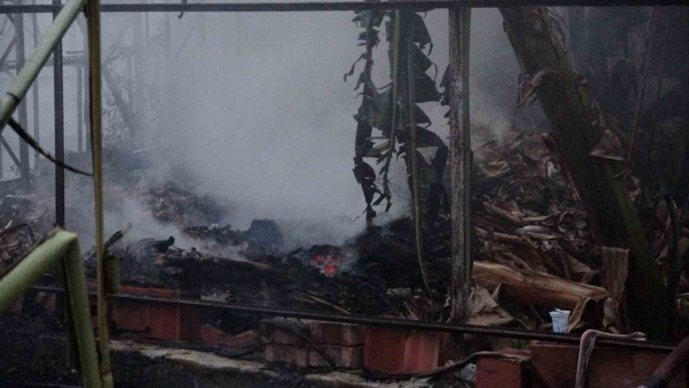 Mobilya Deposunda Yangın: 3 İş Yeri ve Muz Serası Zarar Gördü