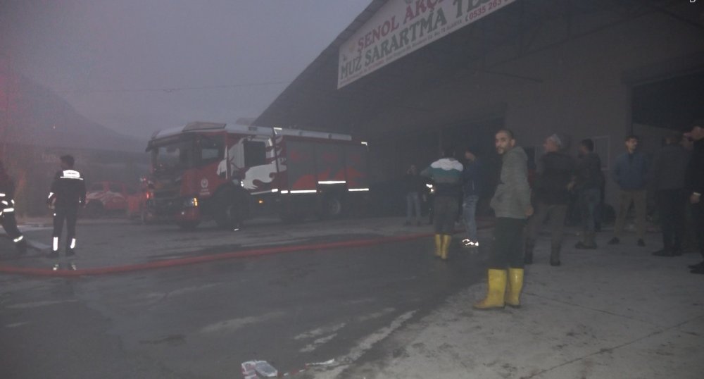 Mobilya Deposunda Yangın: 3 İş Yeri ve Muz Serası Zarar Gördü