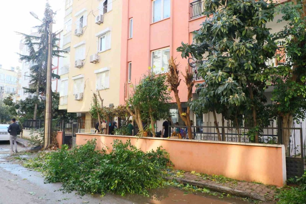 Ağaç budamaya çıktı, mahallenin elektriğini kesti