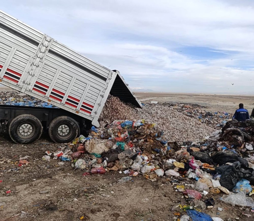 Mersin'den İzmir'e götürülen tır dolusu kokmuş balık Konya'da yakalandı