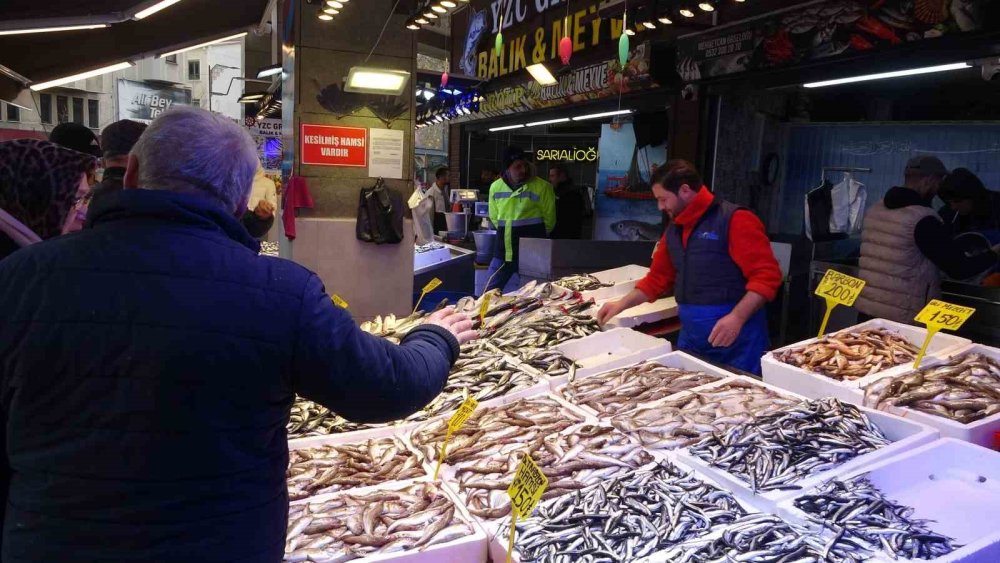 Palamut ve hamsiden sonra şimdi de mezgit bereketi