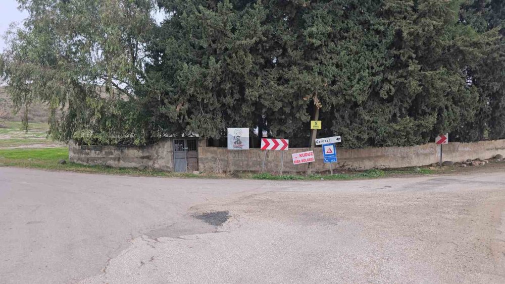 2 kişiyi ısıran köpek kuduz çıktı, mahalle karantinaya alındı