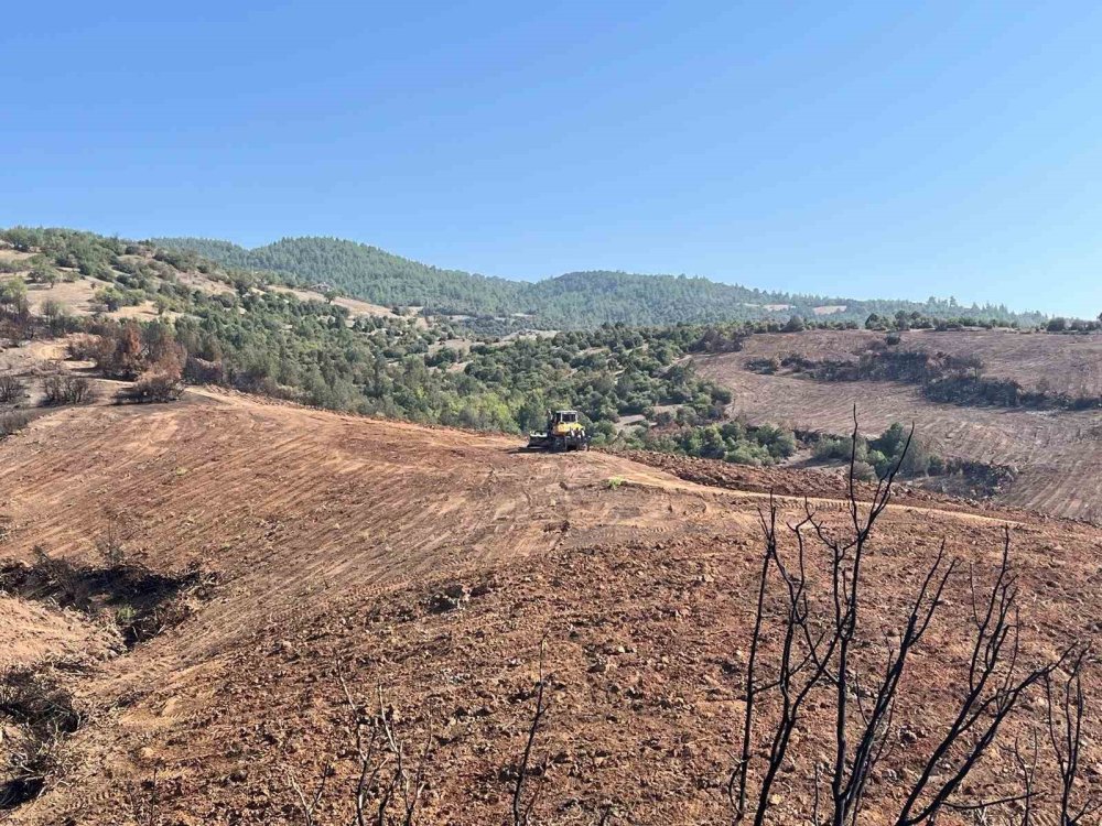 Bursa’da ormanlar küllerinden doğuyor