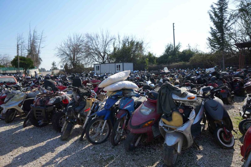 Yediemin Otoparklarında Milli Servet Çürüyor