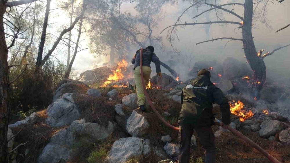 Antalya'daki orman yangınının nedeni belli oldu