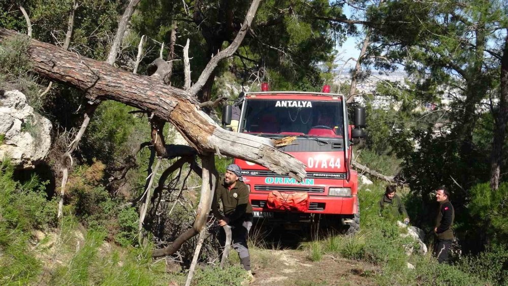Antalya'daki orman yangınının nedeni belli oldu