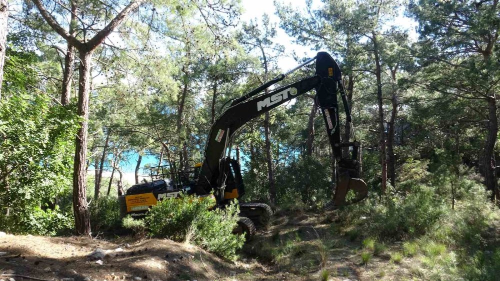 Antalya'daki orman yangınının nedeni belli oldu