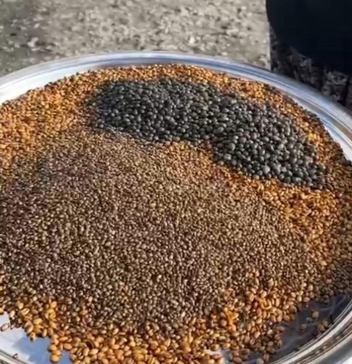 Karapınar Kavurgası, Coğrafi İşaretle Tescillendi