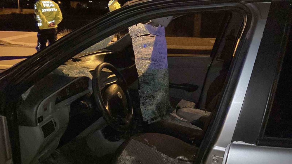 Başıboş At Kazaya Neden Oldu