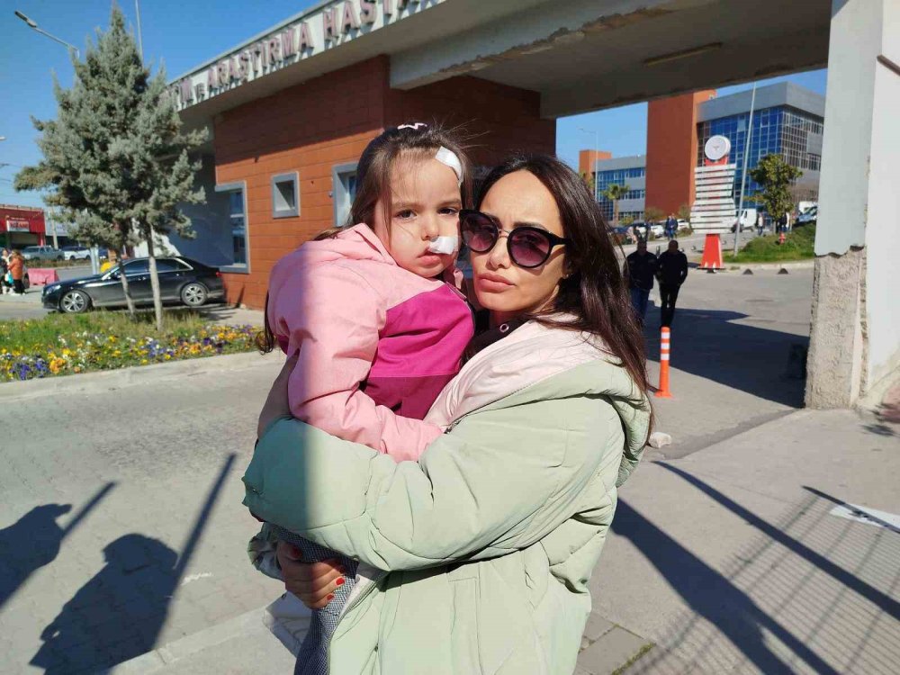 Saldırgan köpeğin AVM'de ne işi var?