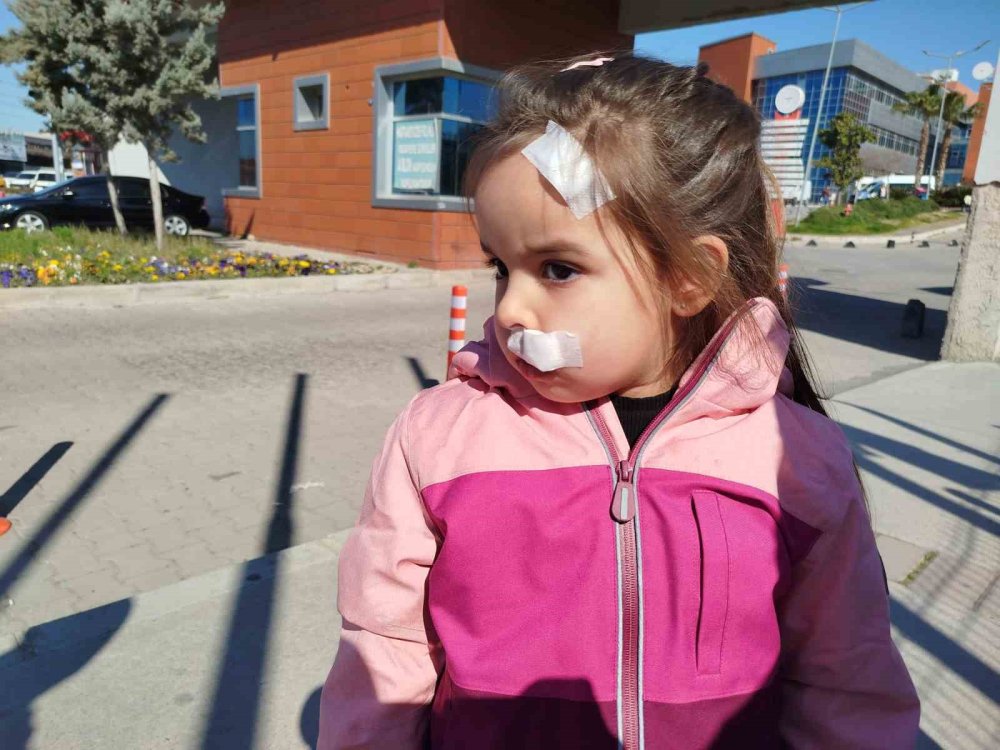 Saldırgan köpeğin AVM'de ne işi var?