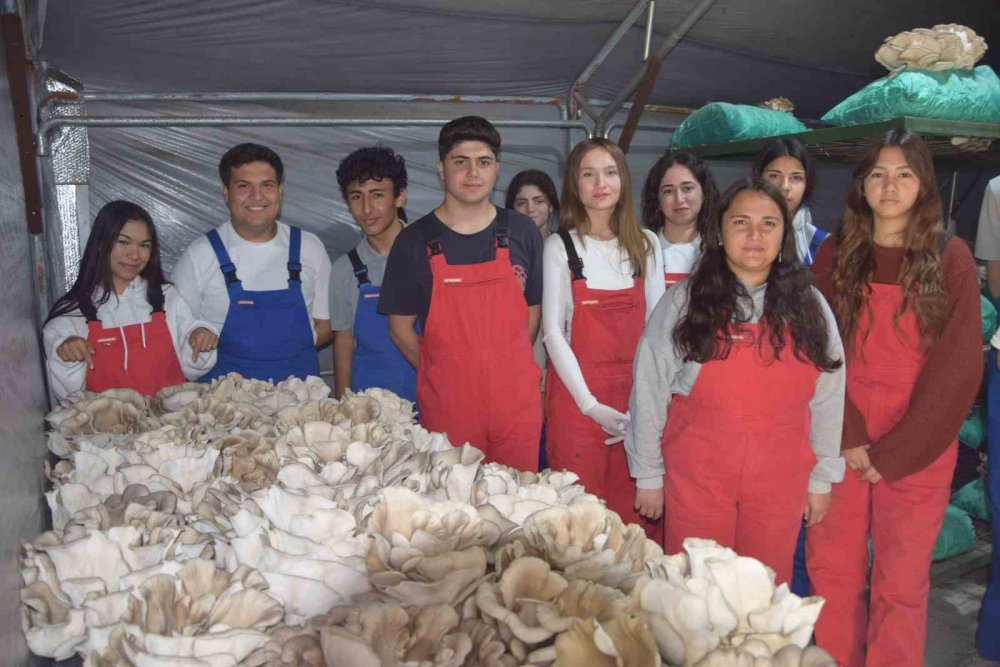 Aksu’da lise öğrencileri özel eğitim öğrencileriyle birlikte hasat yaptı