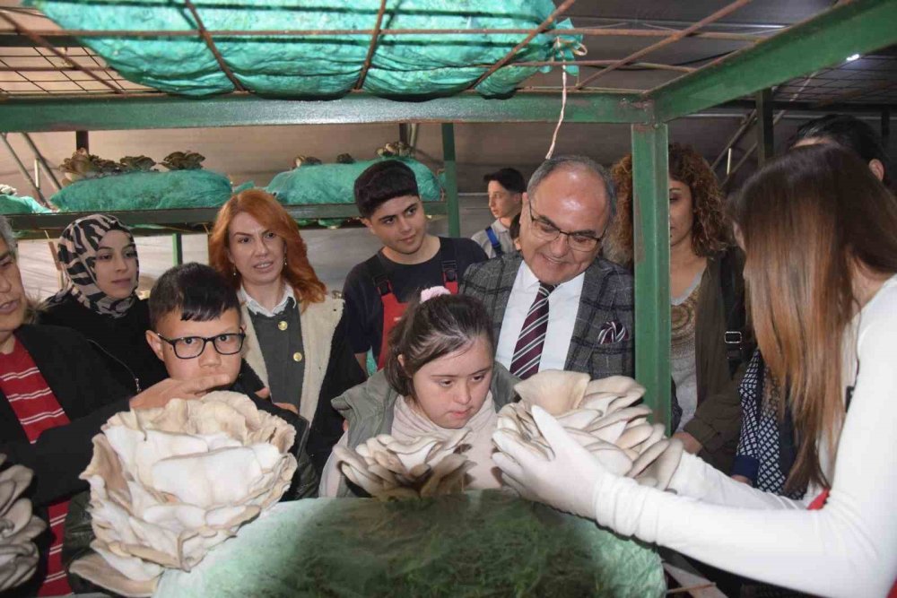 Aksu’da lise öğrencileri özel eğitim öğrencileriyle birlikte hasat yaptı