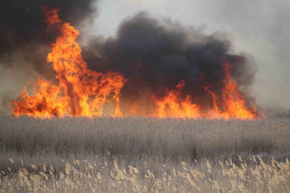 Gören oraya koşunca ekipler trafiği kapattı