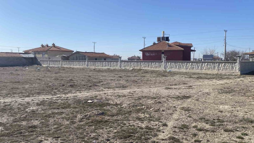 Sokak köpekleri hala olay yerinde