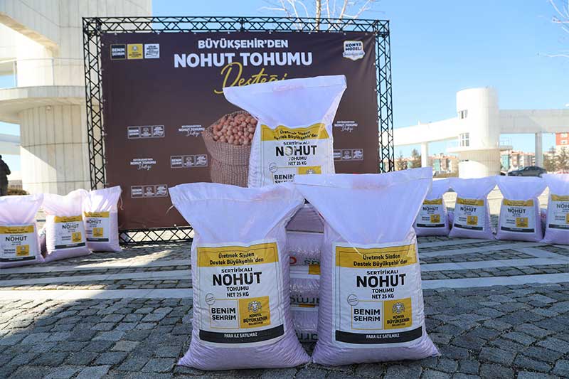 nohut-tohumu-konya-1.jpg