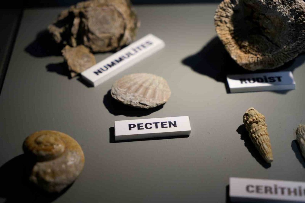 Türkiye’nin ilk ve tek Dijital Maden Müzesi açıldı