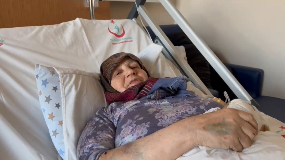 Bursa'da ortaya çıktı: Sokak köpeklerini toplamayan belediyenin cevabı merak konusu oldu