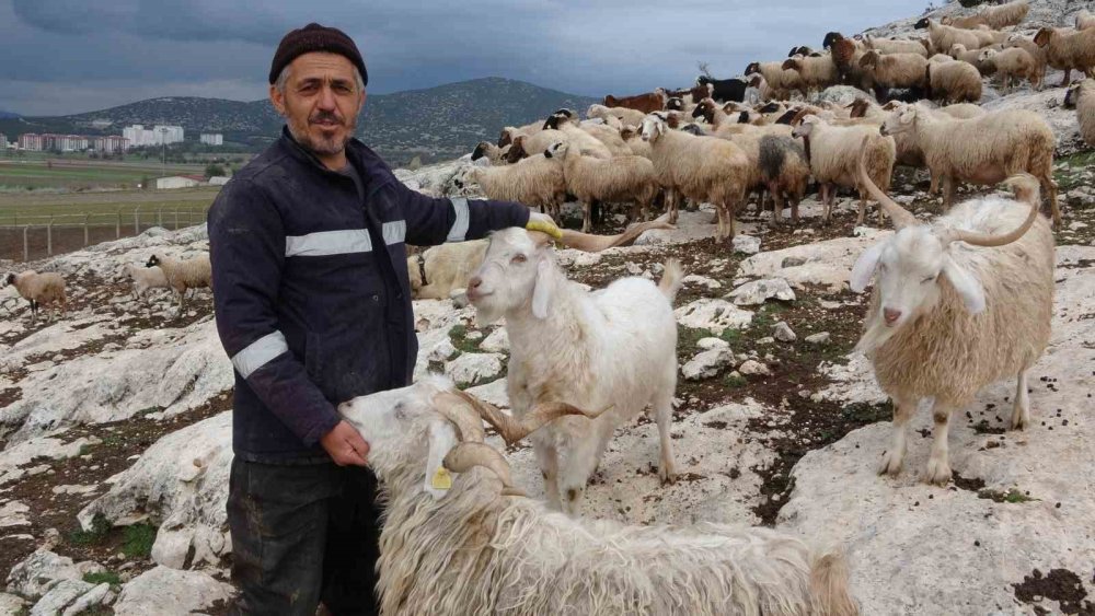 Isparta'da ne dağda ne ovada huzur kalmadı