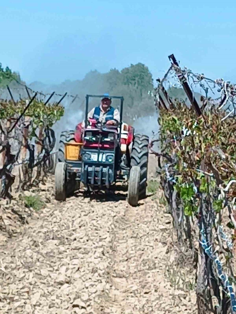 Manisa'da zarar 2 milyarın üstünde