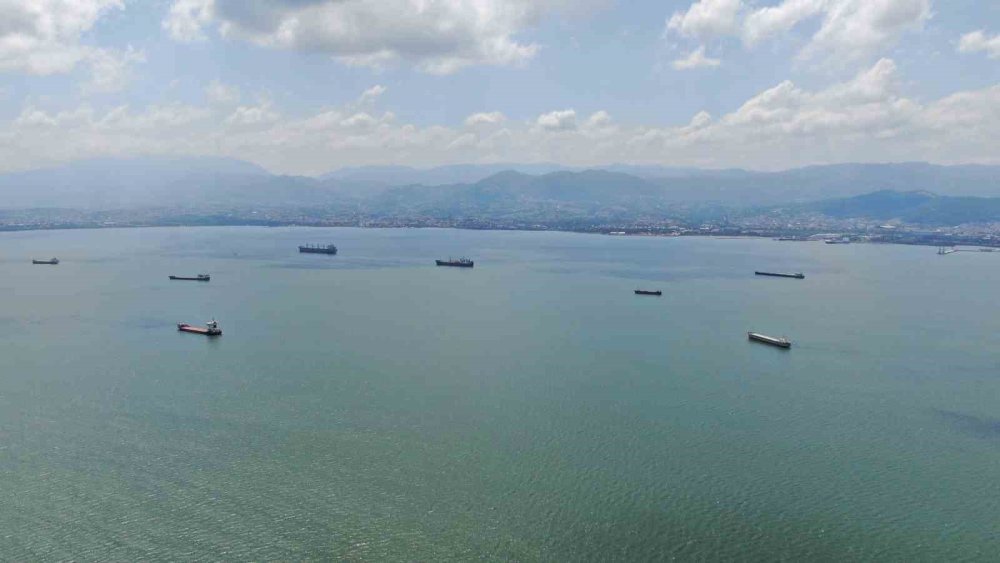 Alanya'da beklenirken Kocaeli'de ortaya çıktı
