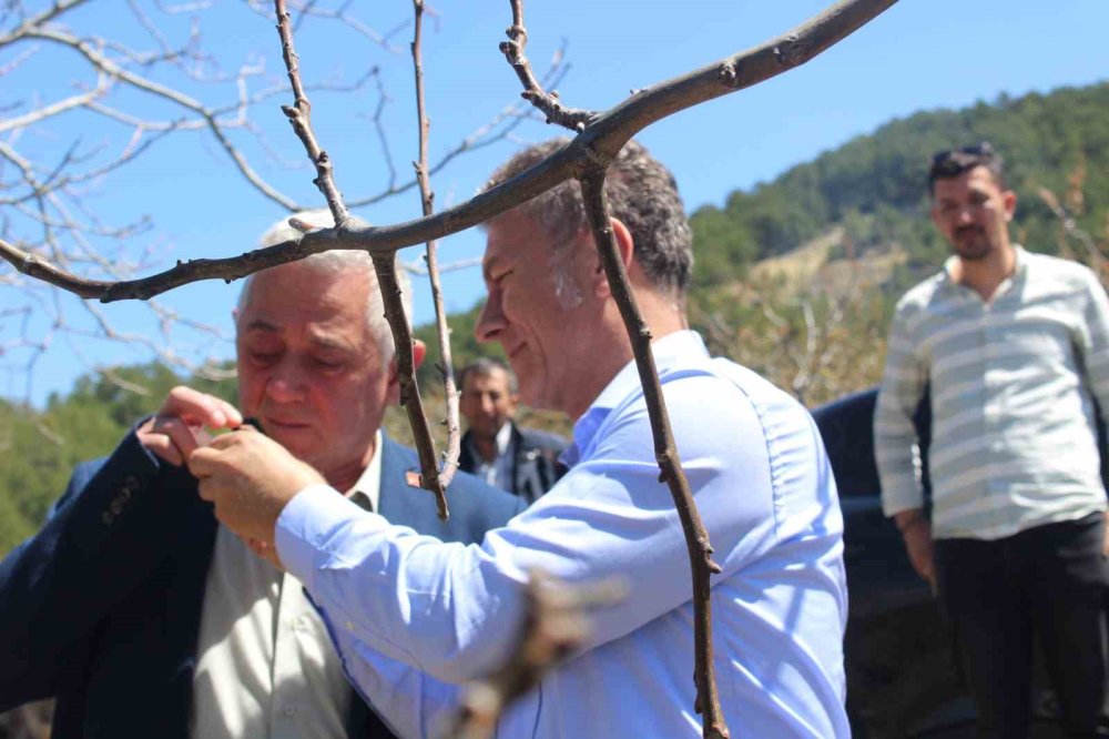 Uludağ felç oldu