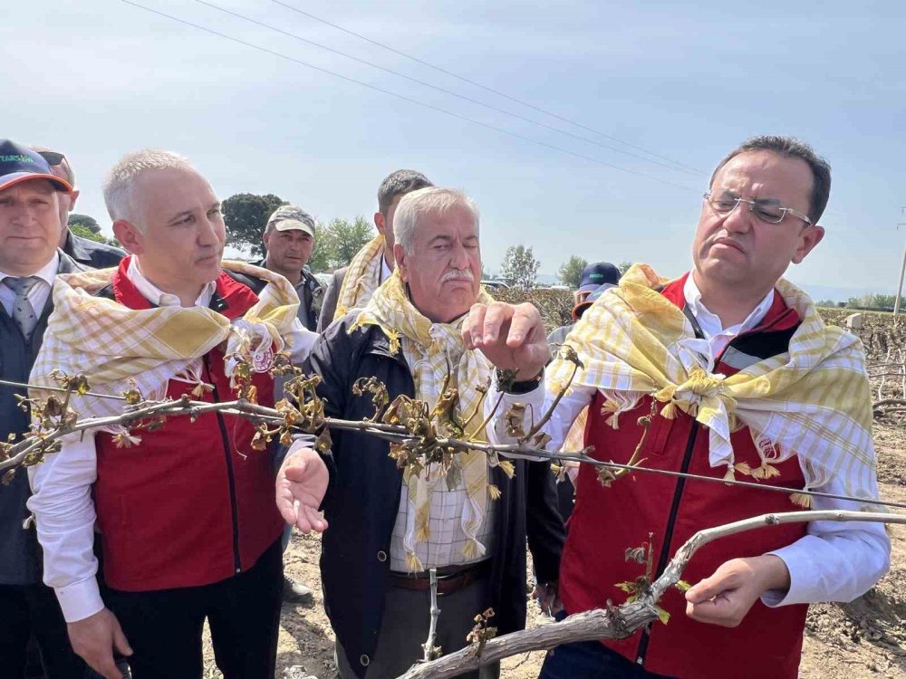 Manisalı üreticilerin masrafları karşılanacak