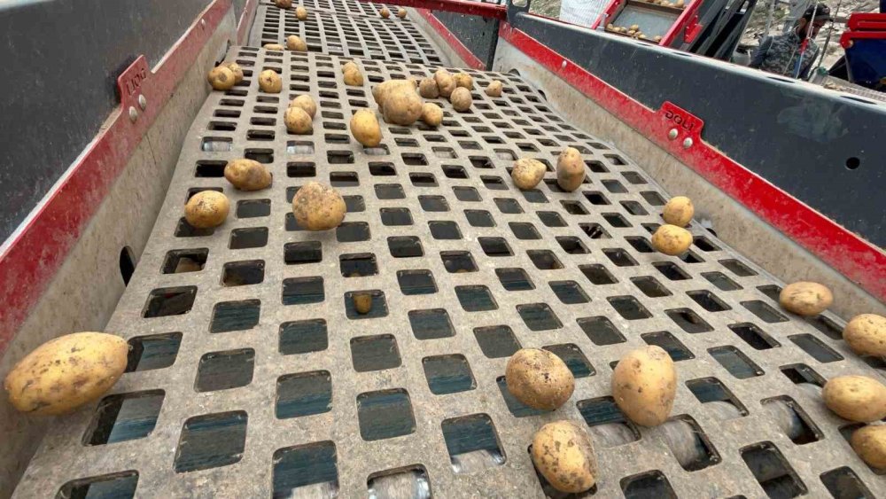 Nevşehir’in Yer Altı Soğuk Hava Depolarından Tohumluk Patates Sevkiyatı Başladı