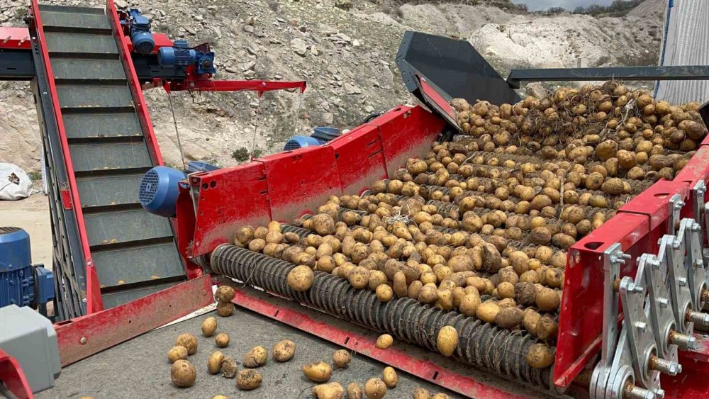 Nevşehir’in Yer Altı Soğuk Hava Depolarından Tohumluk Patates Sevkiyatı Başladı