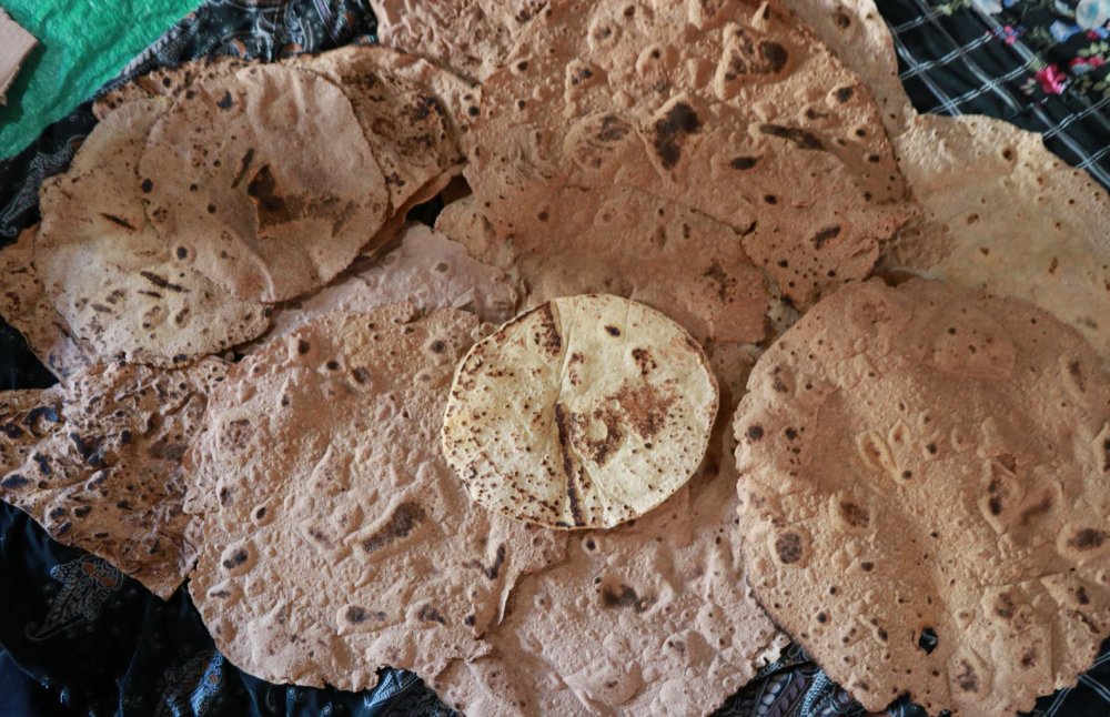 Torosların yaban armudu Hadim'de şifaya dönüşüyor