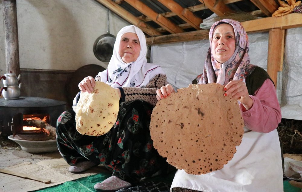 Torosların yaban armudu Hadim'de şifaya dönüşüyor