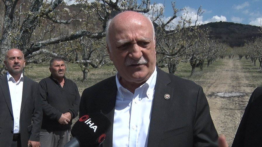 Zirai don gelecek yılı da dondurdu