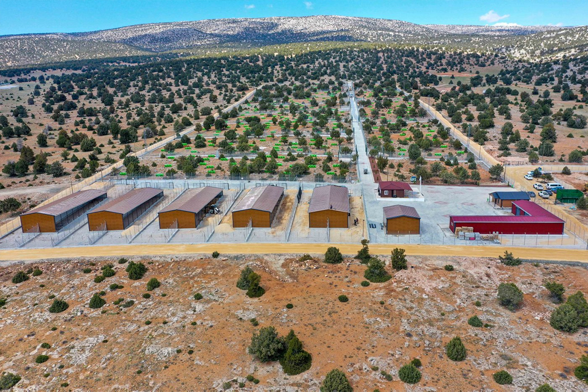 meram-barinak-2.jpg