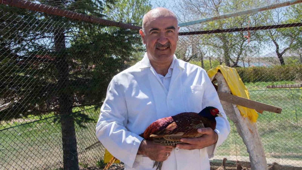 Sülünler Tarımda Yeni Bir Dönemin Kapısını Aralıyor