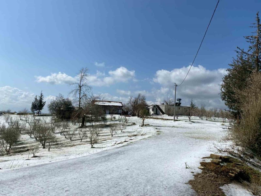 Antalya doluyla beyaza büründü
