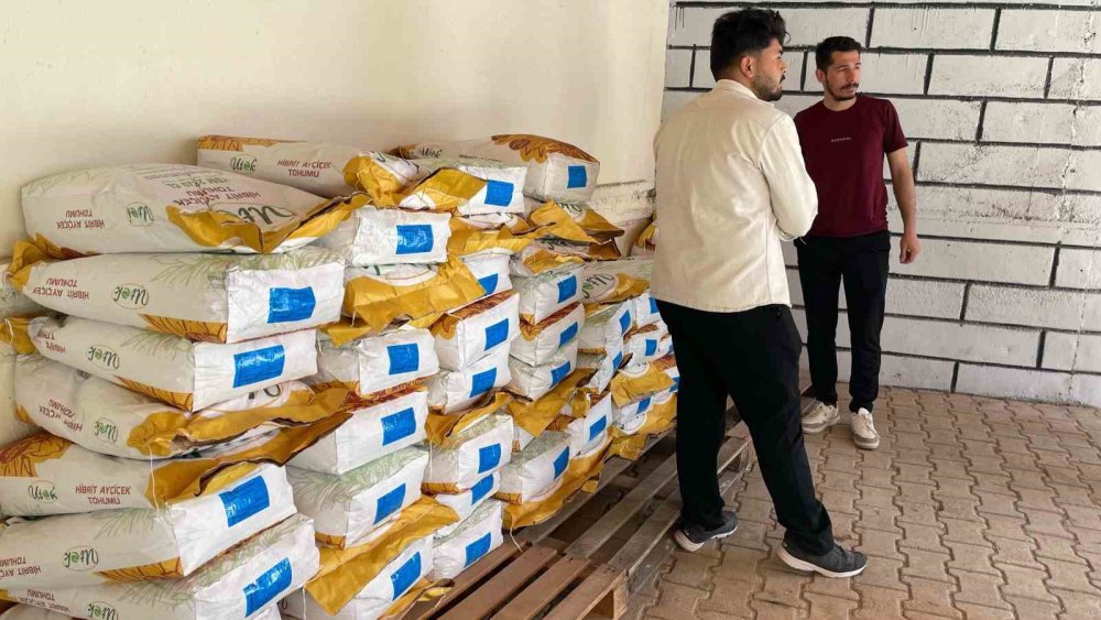 Beyşehir bu tohumlarla sarıya boyanacak