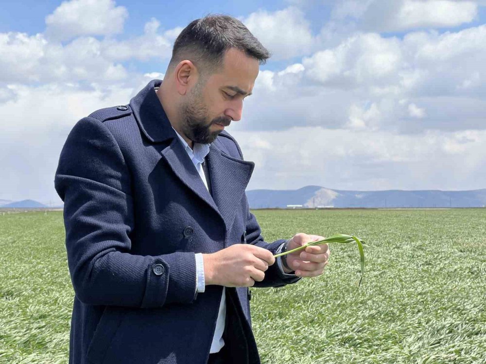 Konya'da Son Yağış Hasara Yol Açtı