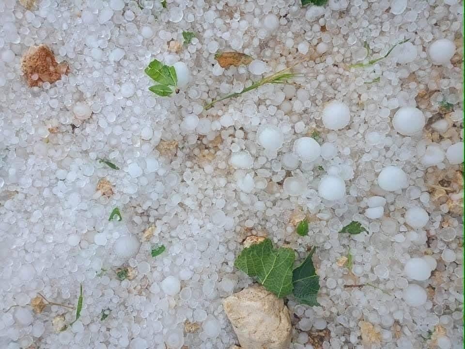 Gören Mersin'e kar yağdı sandı
