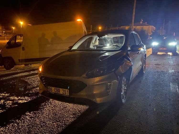 Ankara'nın başıboş eşek sorunu