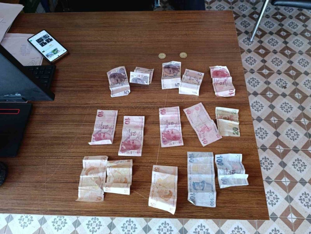Hatay'a kanser gibi yayıldılar, belediye kendini toplayınca şok oldular
