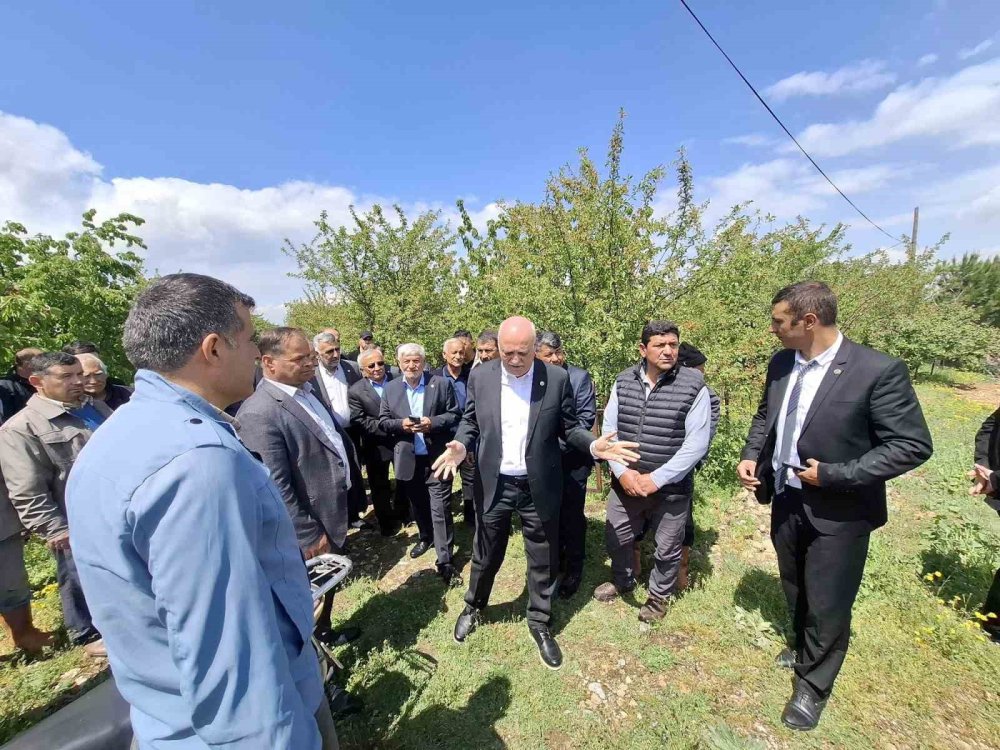 Konya'nın Artık Meyvesi Yok: Zarar Yüzde 90
