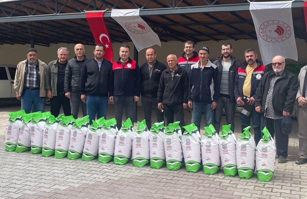 Fasulye Ekene Devlet Desteği: Beyşehir’de Verim ve Gelir Artacak