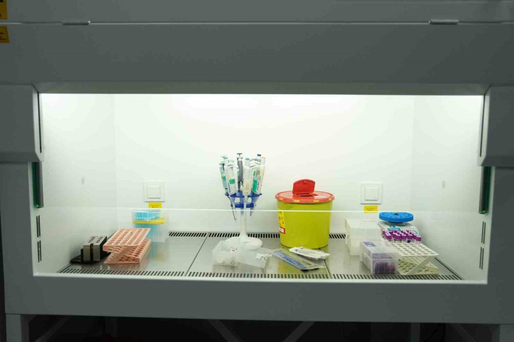 Sağlık hizmetlerinin bel kemiği laboratuvarlar