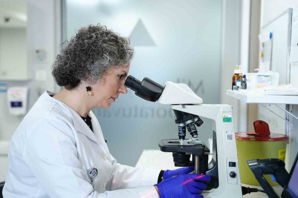 Sağlık hizmetlerinin bel kemiği laboratuvarlar